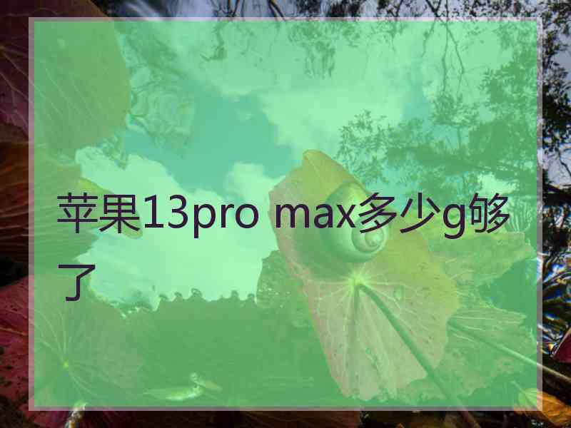 苹果13pro max多少g够了