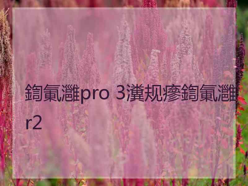 鍧氭灉pro 3瀵规瘮鍧氭灉r2