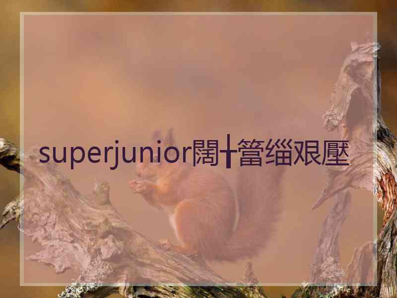 superjunior闊╁簹缁艰壓