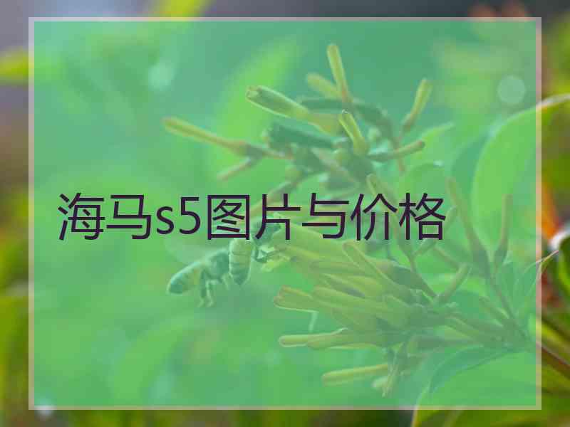 海马s5图片与价格