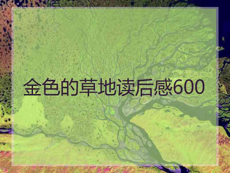 金色的草地读后感600