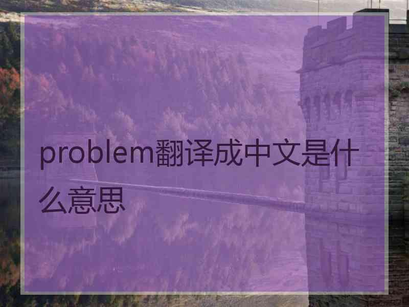 problem翻译成中文是什么意思