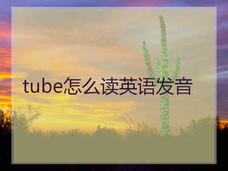 tube怎么读英语发音