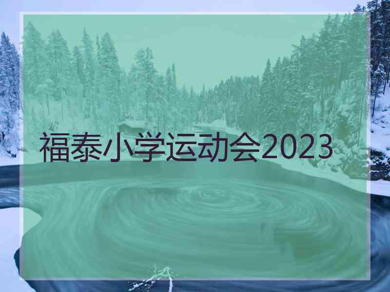 福泰小学运动会2023