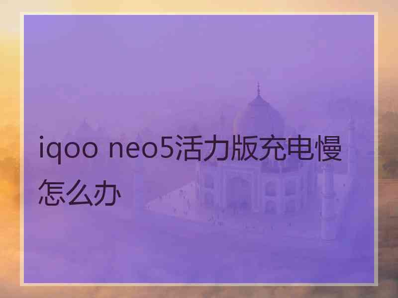 iqoo neo5活力版充电慢怎么办