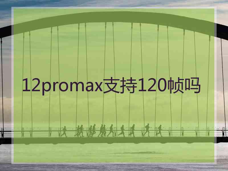 12promax支持120帧吗