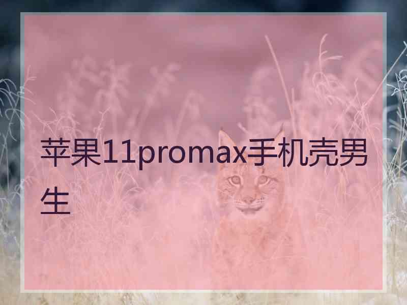 苹果11promax手机壳男生