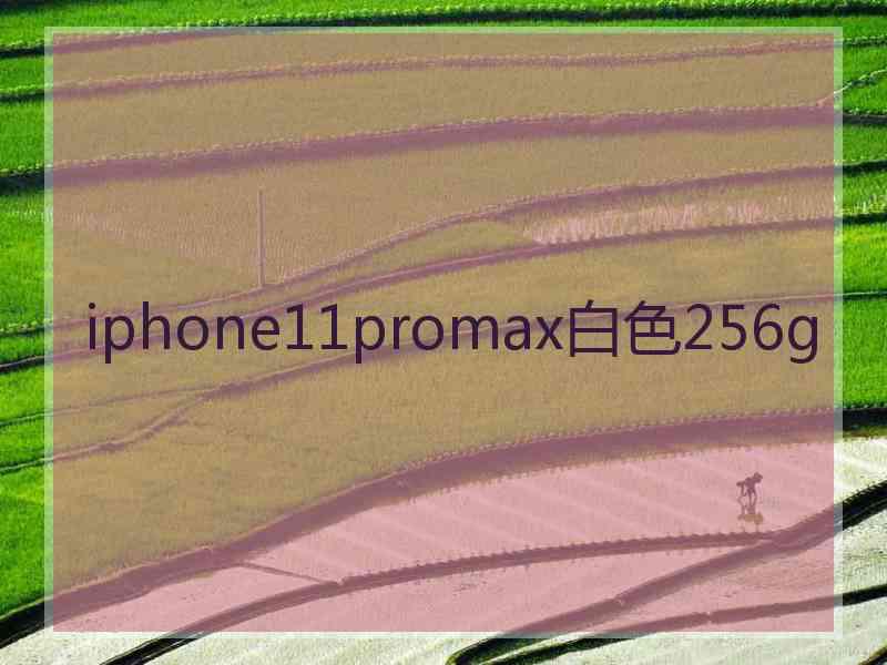 iphone11promax白色256g