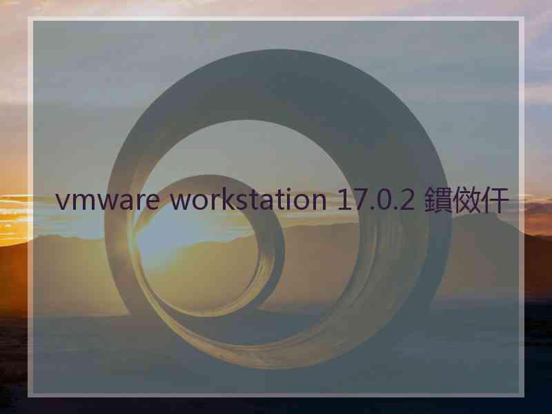 vmware workstation 17.0.2 鏆傚仠