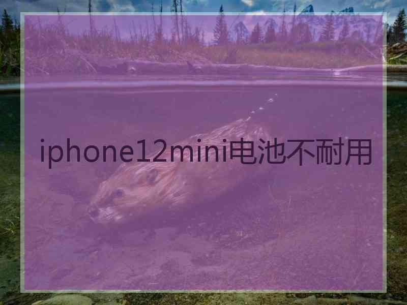 iphone12mini电池不耐用