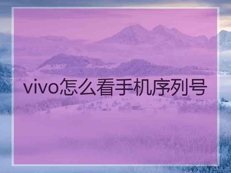 vivo怎么看手机序列号