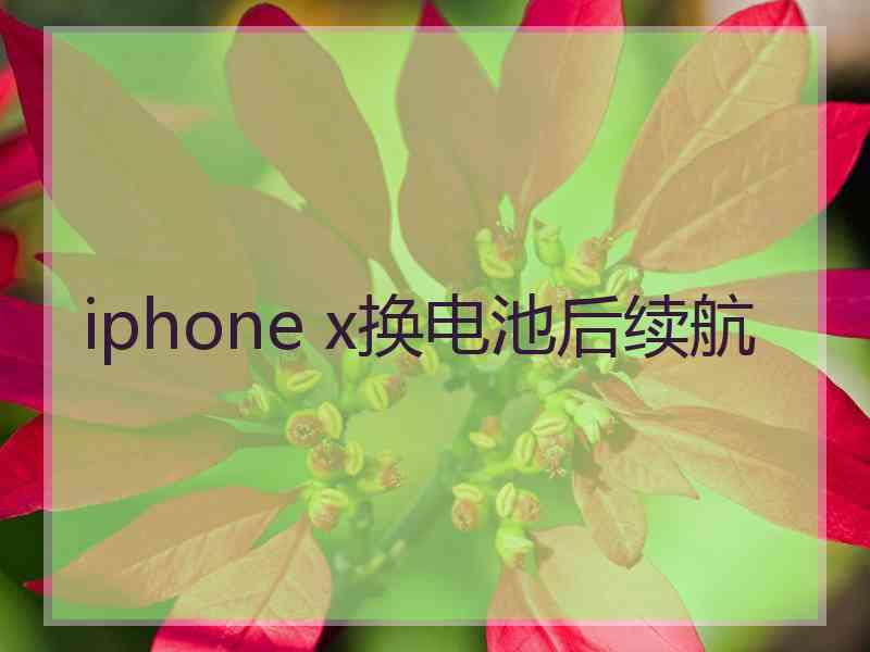 iphone x换电池后续航