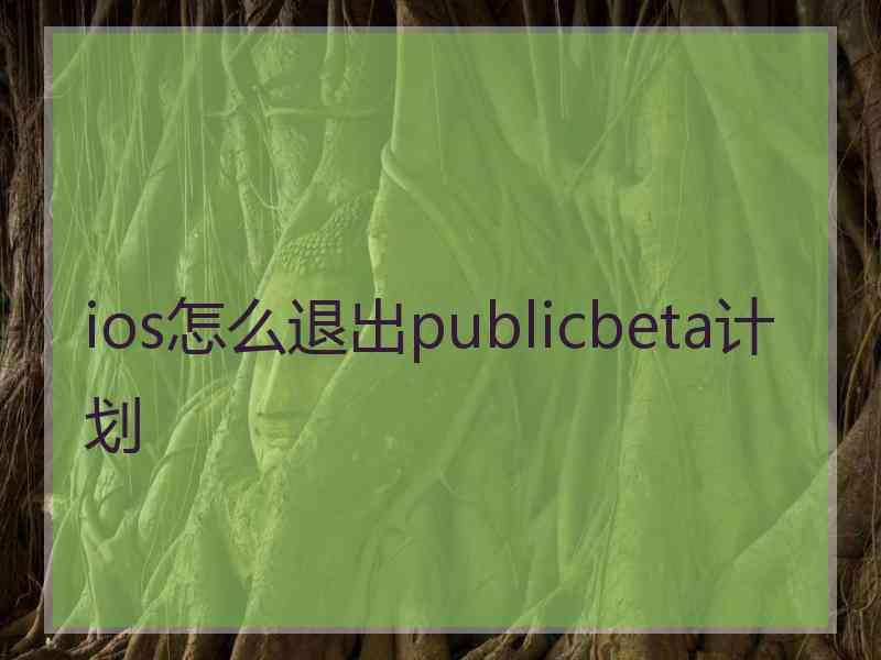 ios怎么退出publicbeta计划