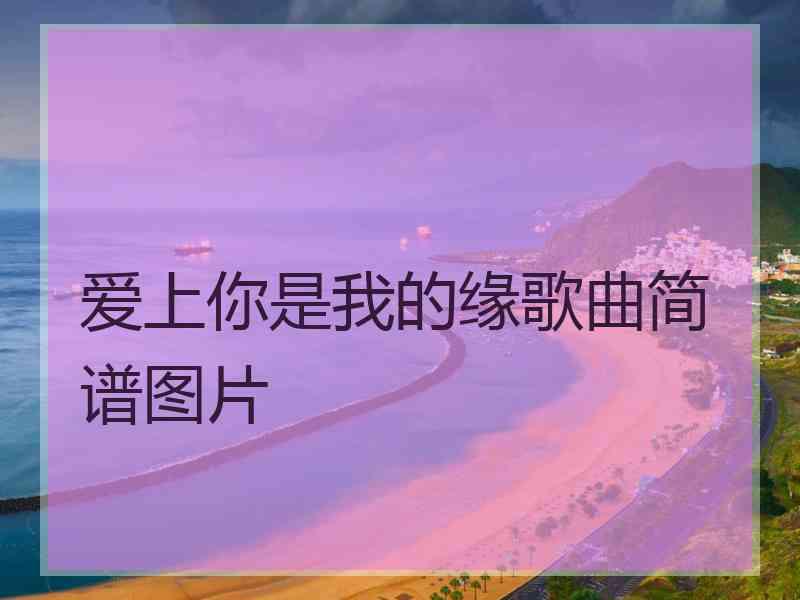 爱上你是我的缘歌曲简谱图片