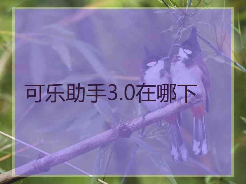 可乐助手3.0在哪下