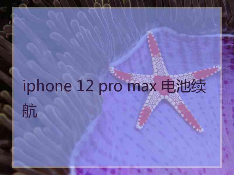 iphone 12 pro max 电池续航