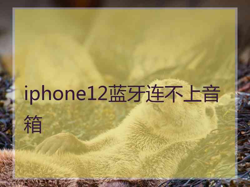 iphone12蓝牙连不上音箱