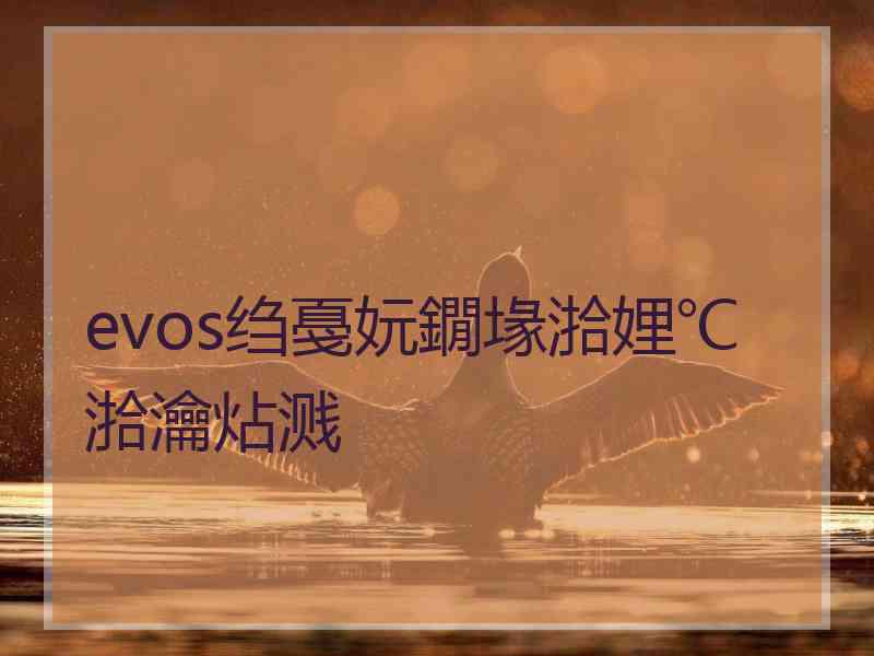 evos绉戞妧鐗堟湁娌℃湁瀹炶溅