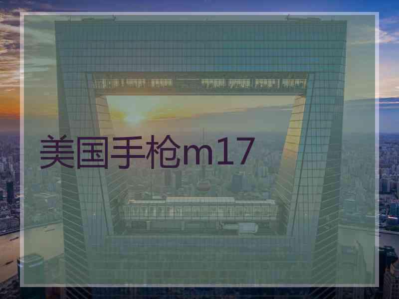 美国手枪m17