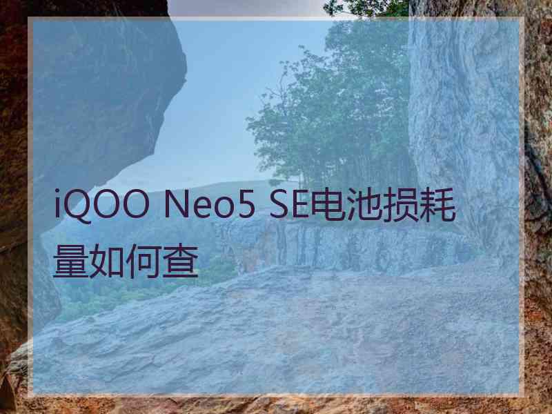 iQOO Neo5 SE电池损耗量如何查