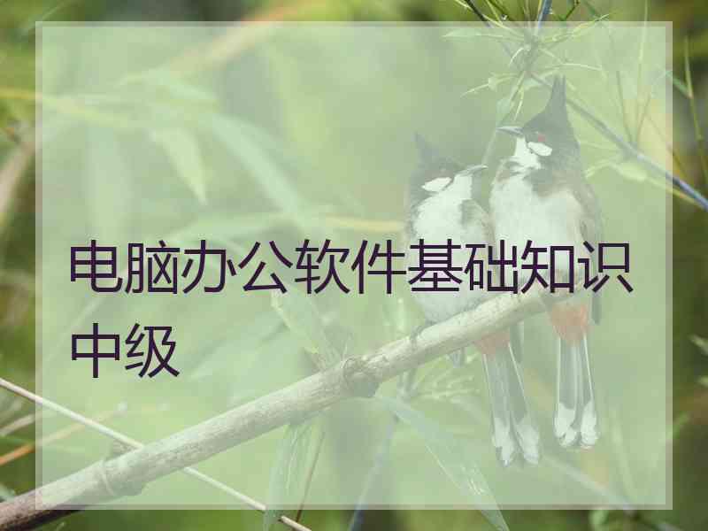 电脑办公软件基础知识中级