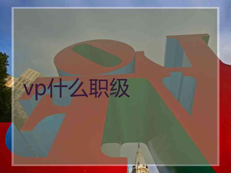 vp什么职级