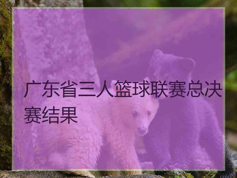 广东省三人篮球联赛总决赛结果