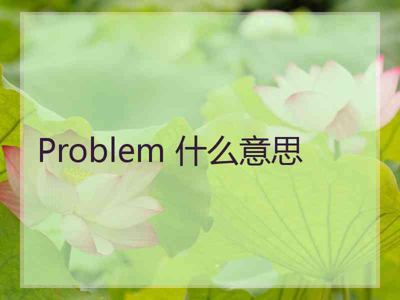 Problem 什么意思