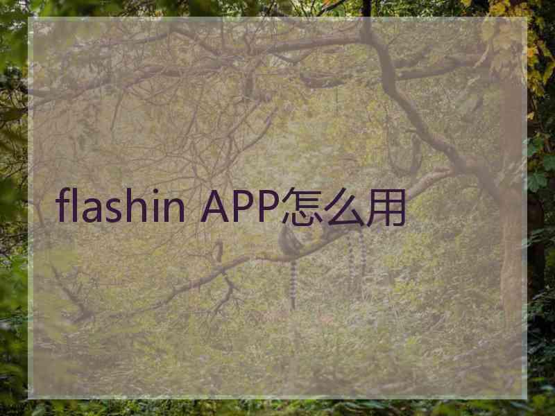 flashin APP怎么用