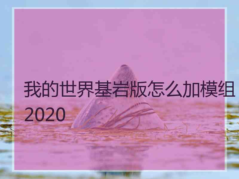 我的世界基岩版怎么加模组2020