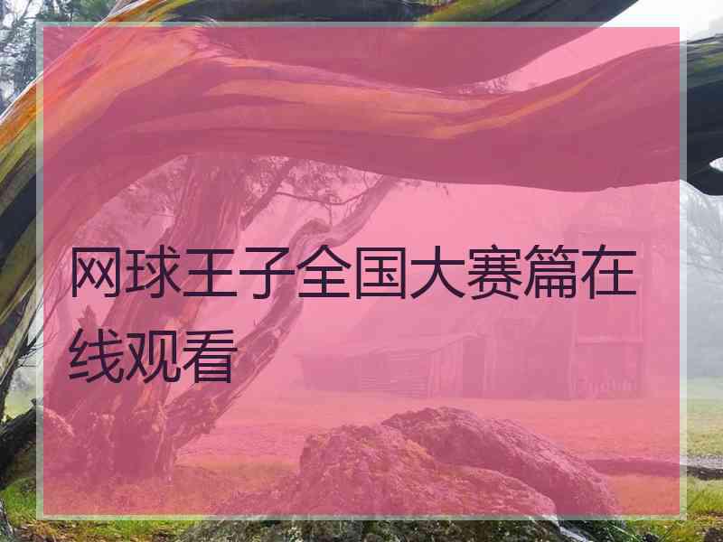 网球王子全国大赛篇在线观看