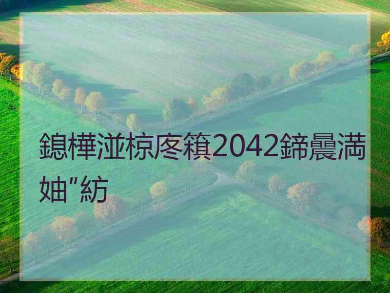 鎴樺湴椋庝簯2042鍗曟満妯″紡