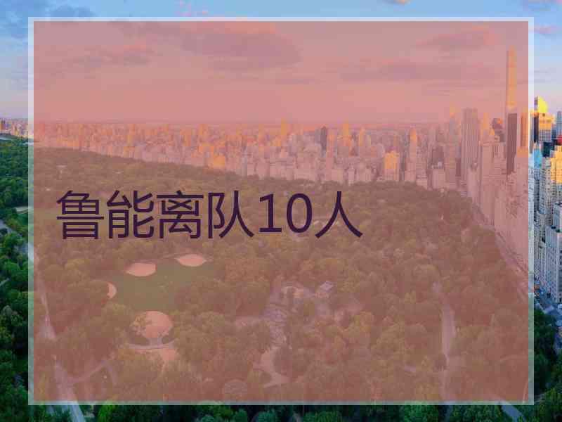 鲁能离队10人