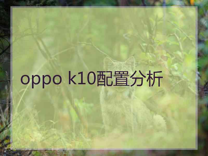 oppo k10配置分析