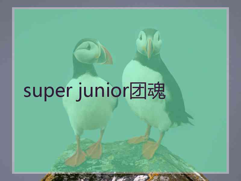 super junior团魂