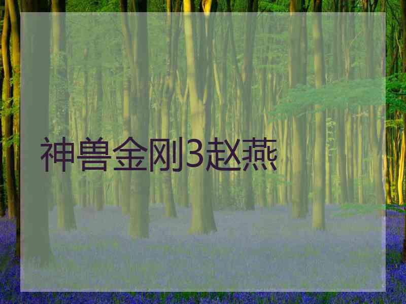 神兽金刚3赵燕