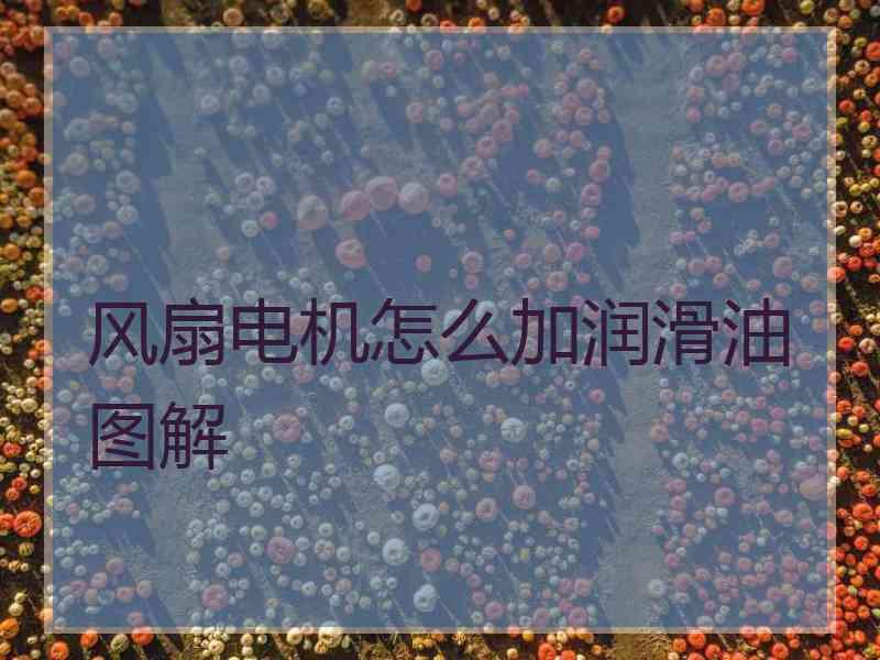 风扇电机怎么加润滑油图解