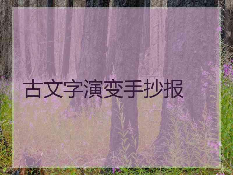 古文字演变手抄报