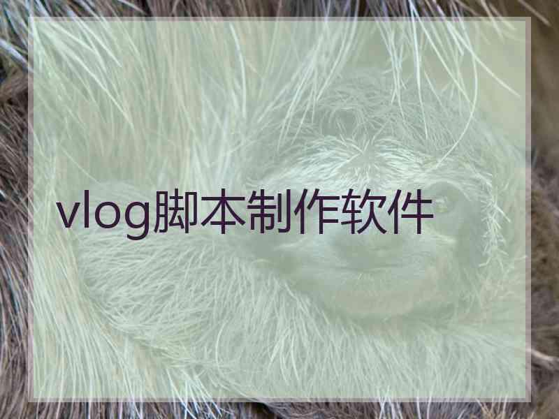 vlog脚本制作软件