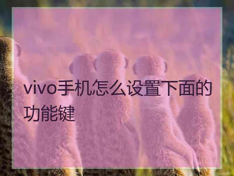 vivo手机怎么设置下面的功能键