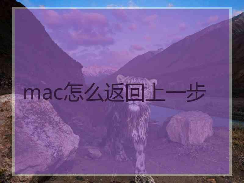 mac怎么返回上一步