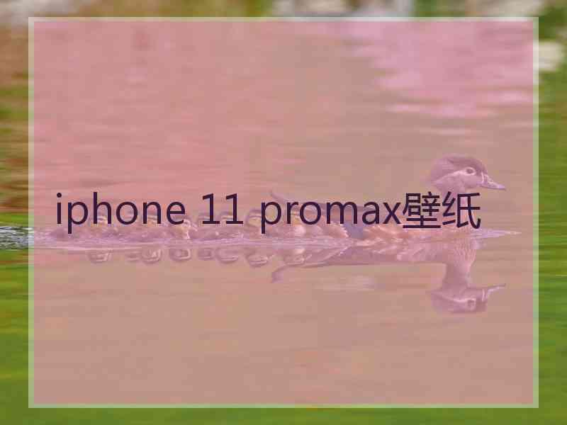 iphone 11 promax壁纸