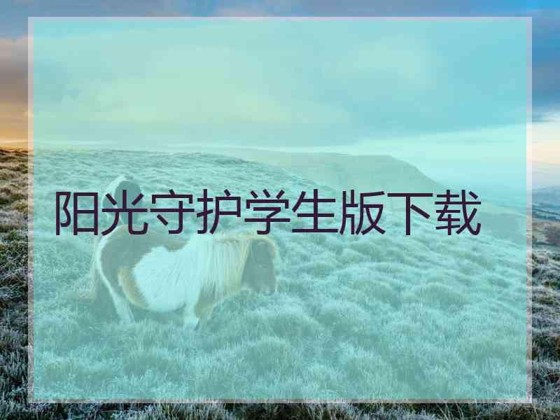 阳光守护学生版下载