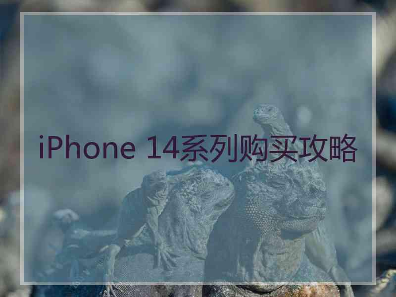 iPhone 14系列购买攻略