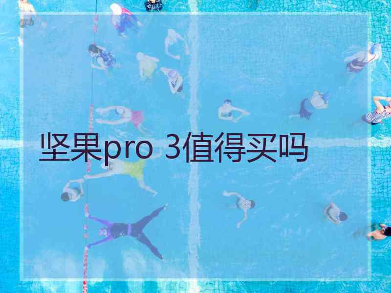 坚果pro 3值得买吗