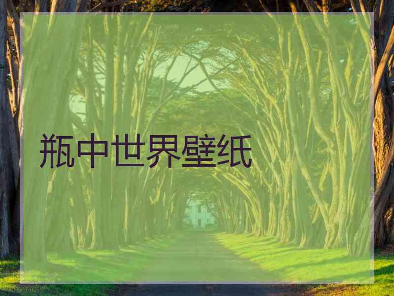 瓶中世界壁纸