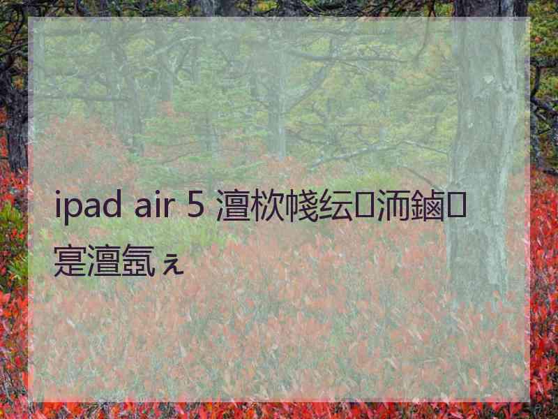 ipad air 5 澶栨帴纭洏鏀寔澶氬ぇ