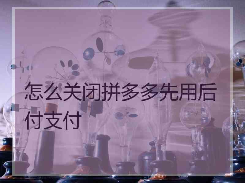 怎么关闭拼多多先用后付支付