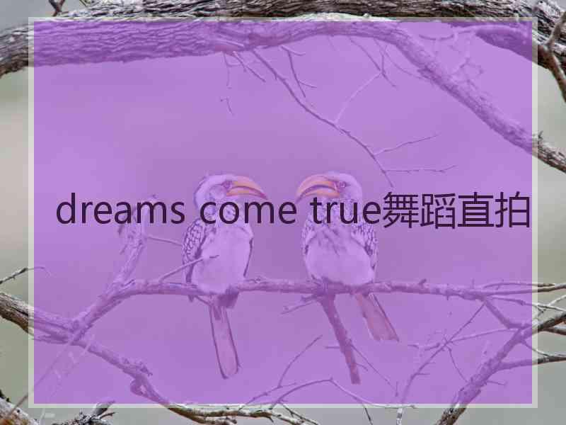 dreams come true舞蹈直拍