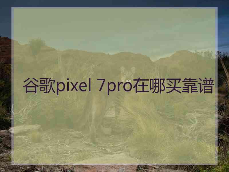 谷歌pixel 7pro在哪买靠谱